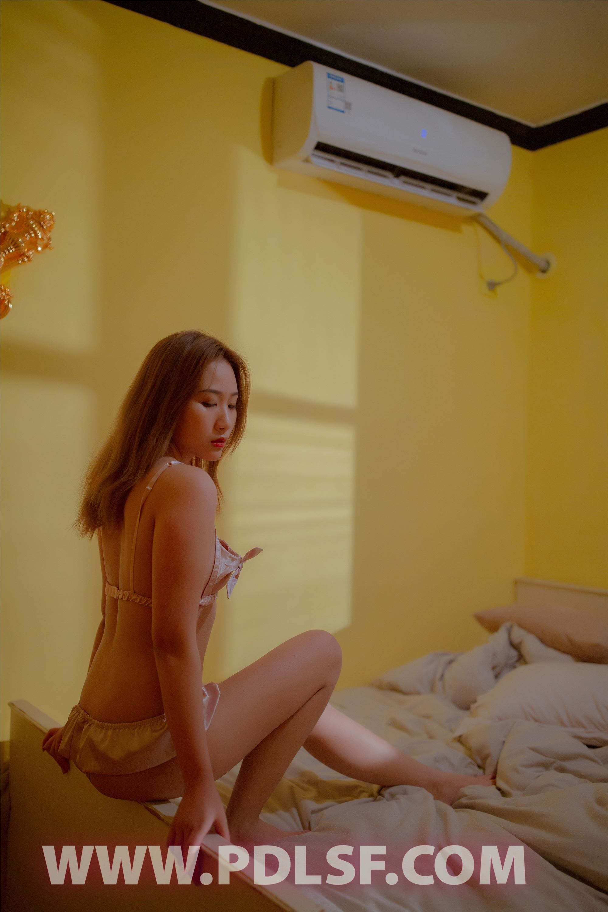 PDL潘多拉 2020.04.15 专辑No.288